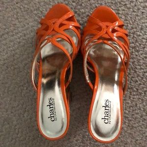 NWOB Charles David shoes. Never worn.